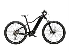 ADRIATICA BICI E-BIKE RAYON 29 '25