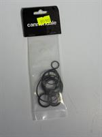 CANNONDALE KIT 100HR LEFTY OCHO '19